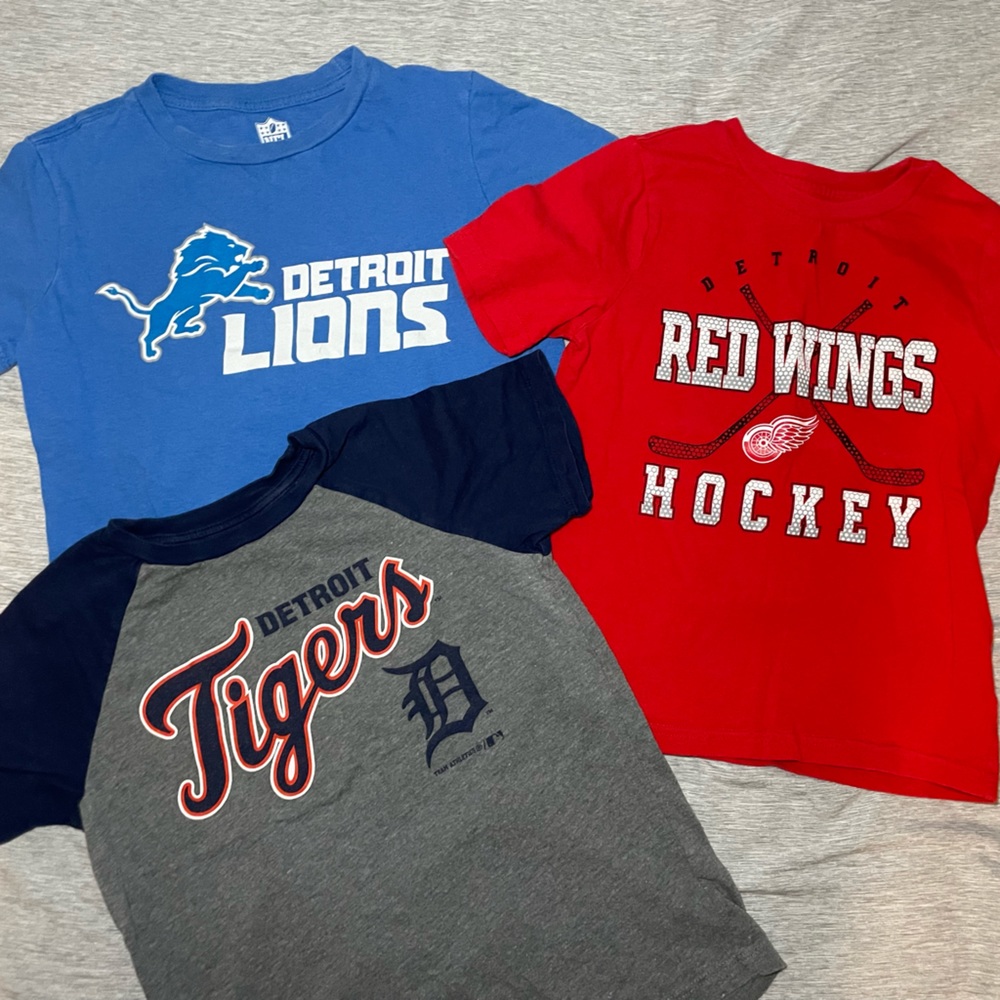 Detroit Lions Tigers Red Wings size 6